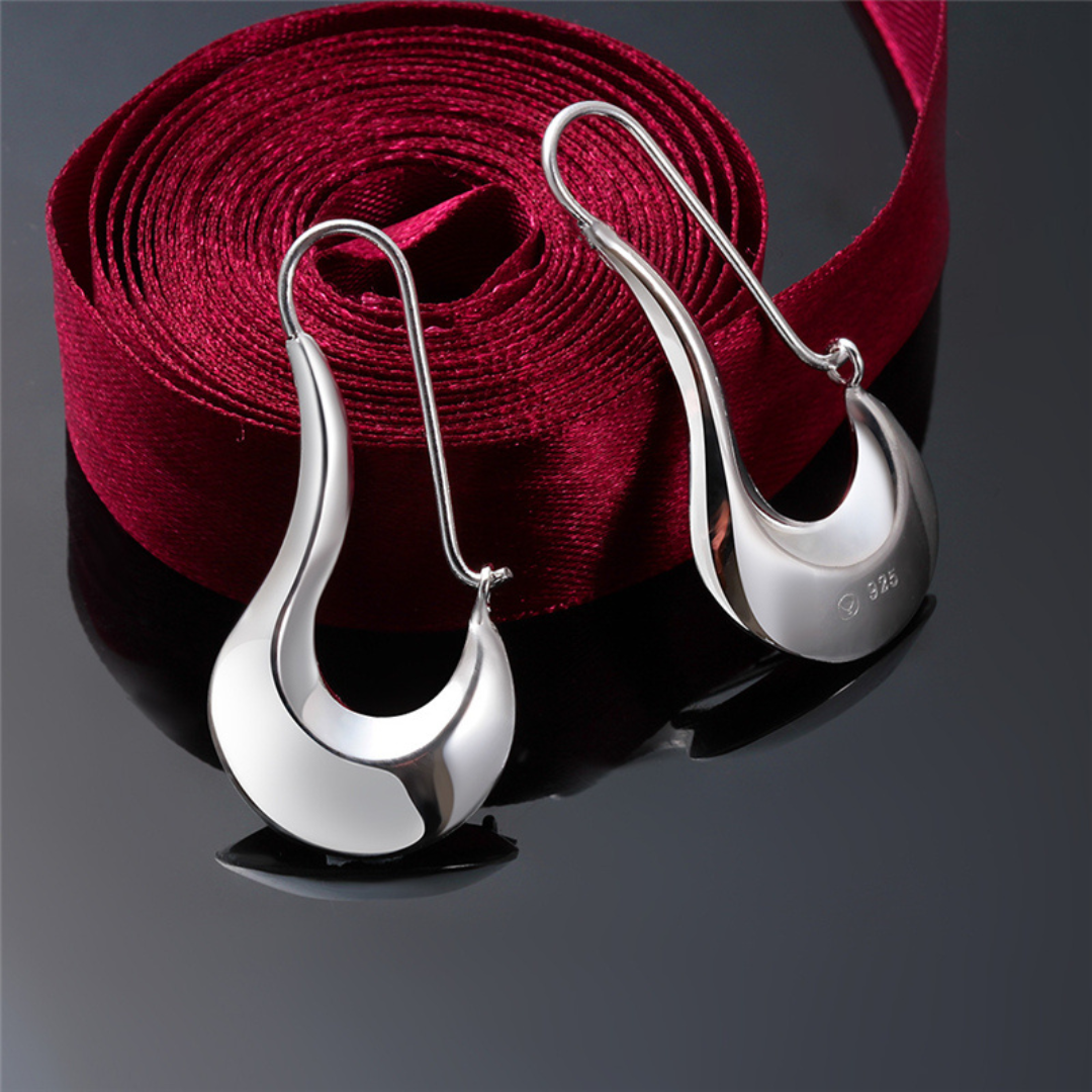 Polished 925 Silver Modernist Style Earrings